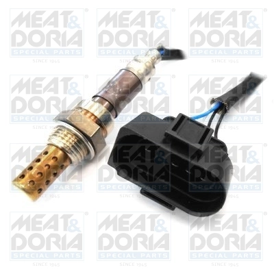 Oxygen Sensor